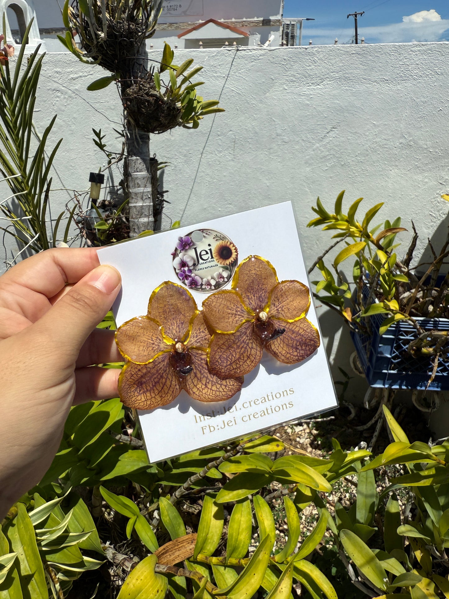Big Orchid Vanda set