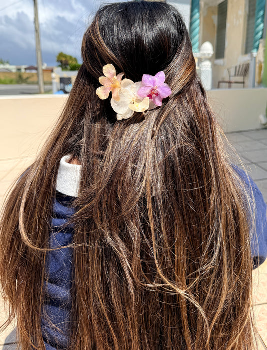 Pinche Luz de Primavera