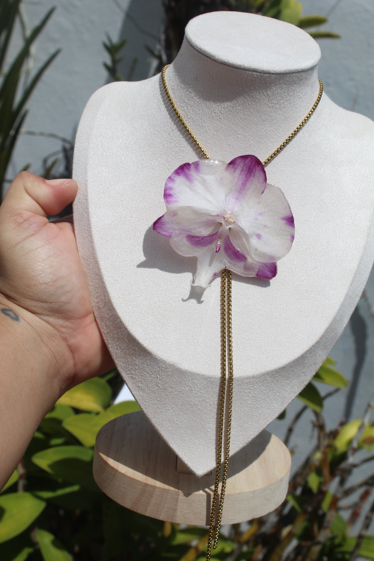 Phalaenopsis Orchid set (4pieces)
