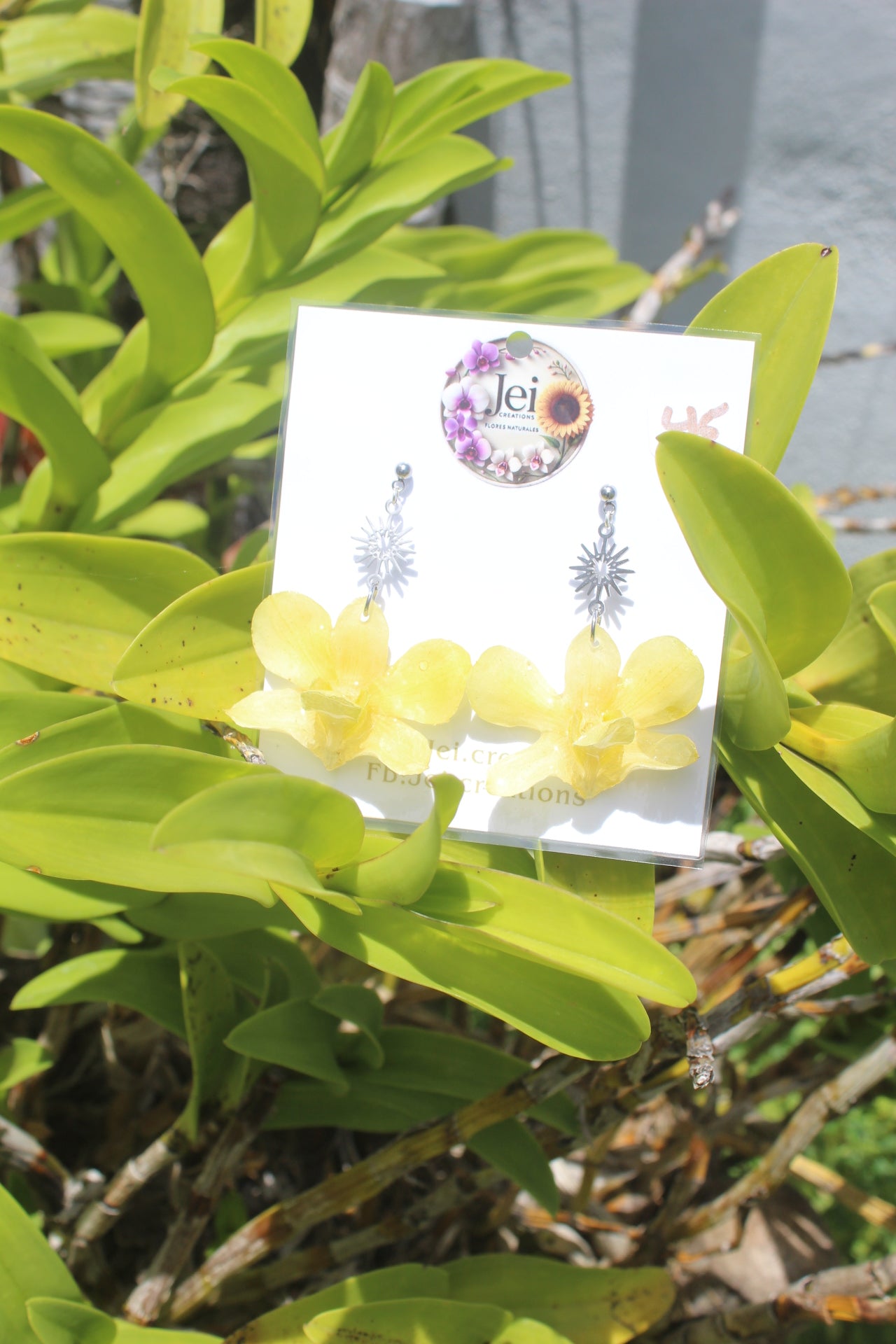 Yellow de Dendrobium earings