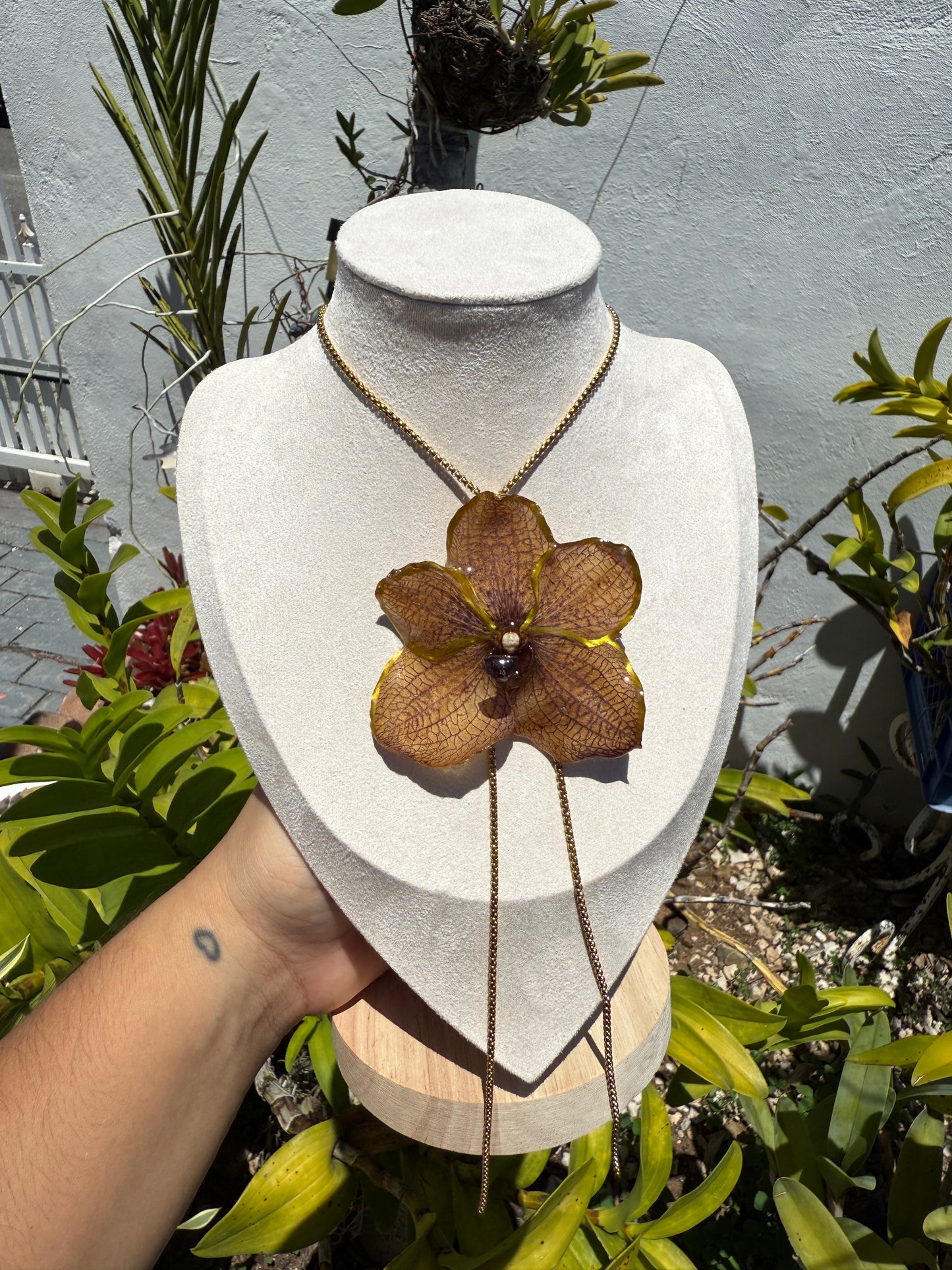 Big Orchid Vanda set
