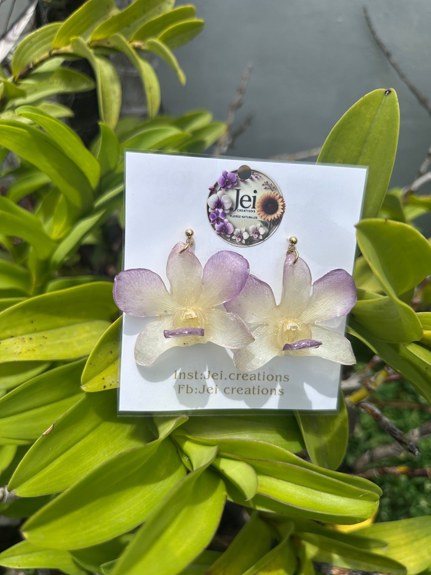 Purple/white orchid earings