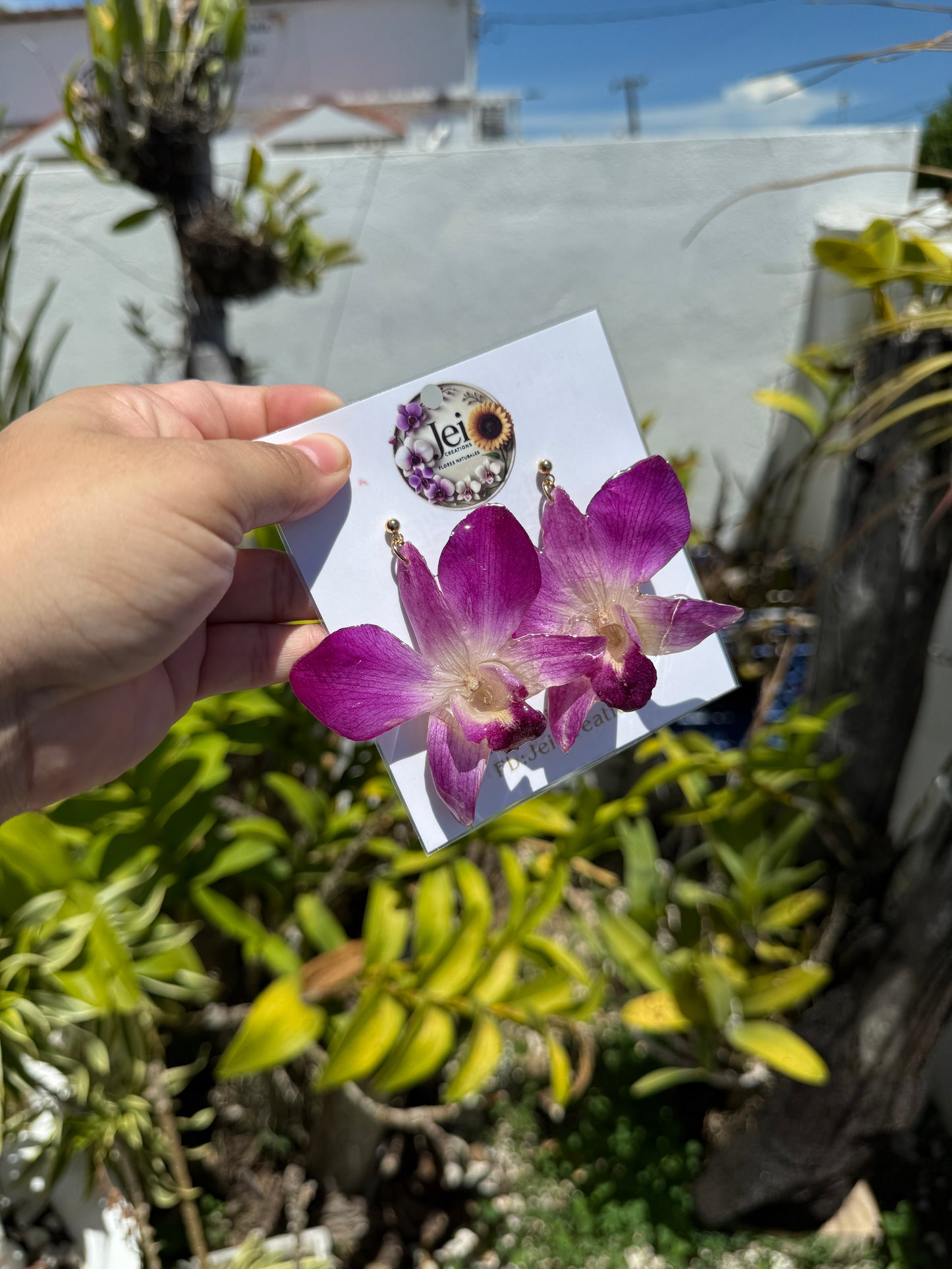 Fancy Dendrobium earings