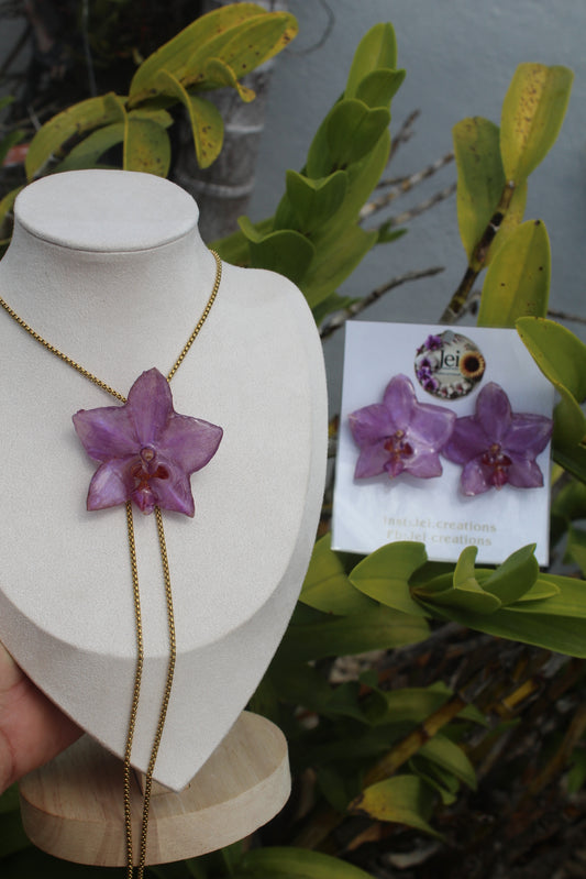 Purple Phalaenopsis Orchid set