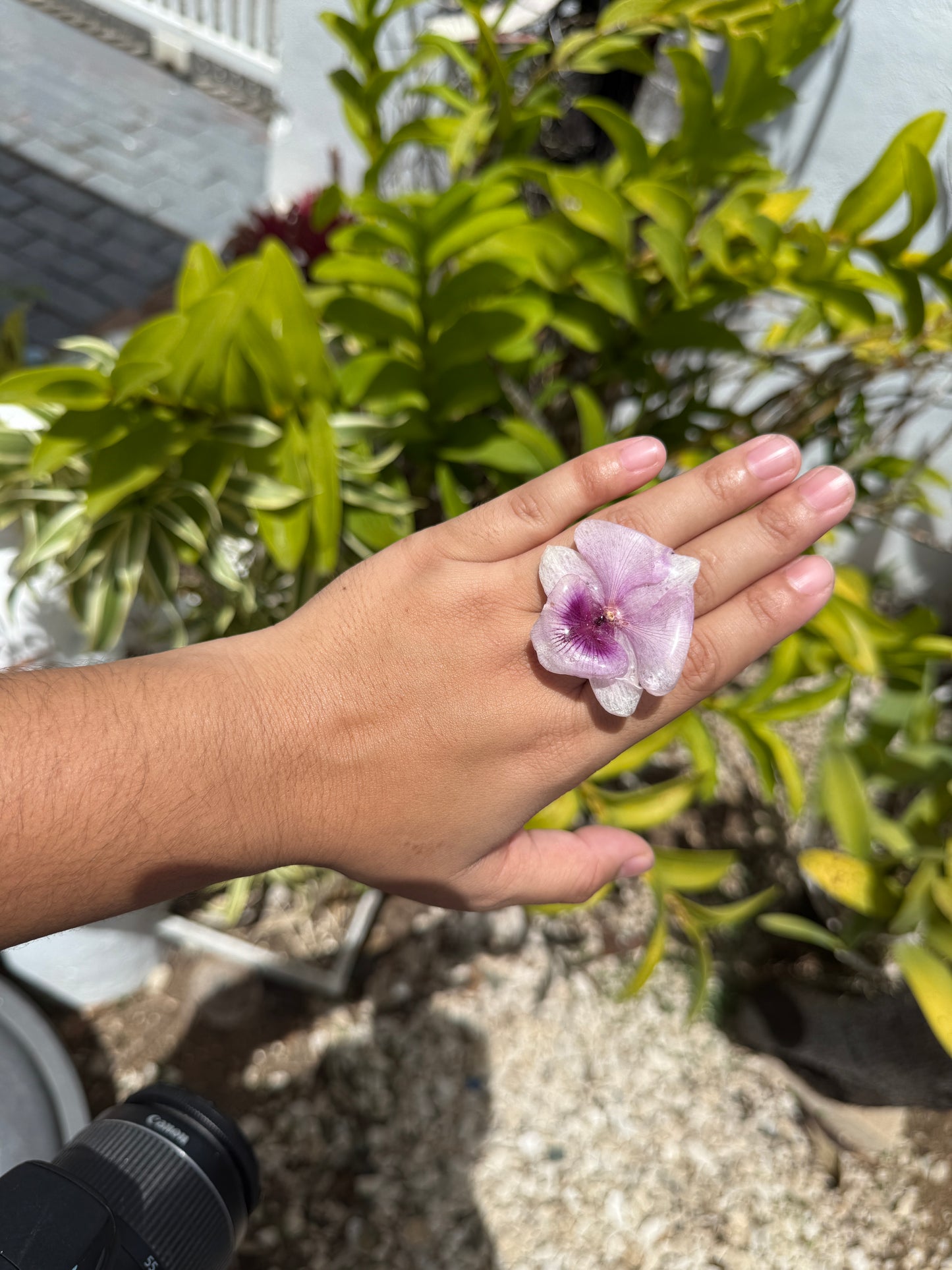 Dendrobium Orchid ring