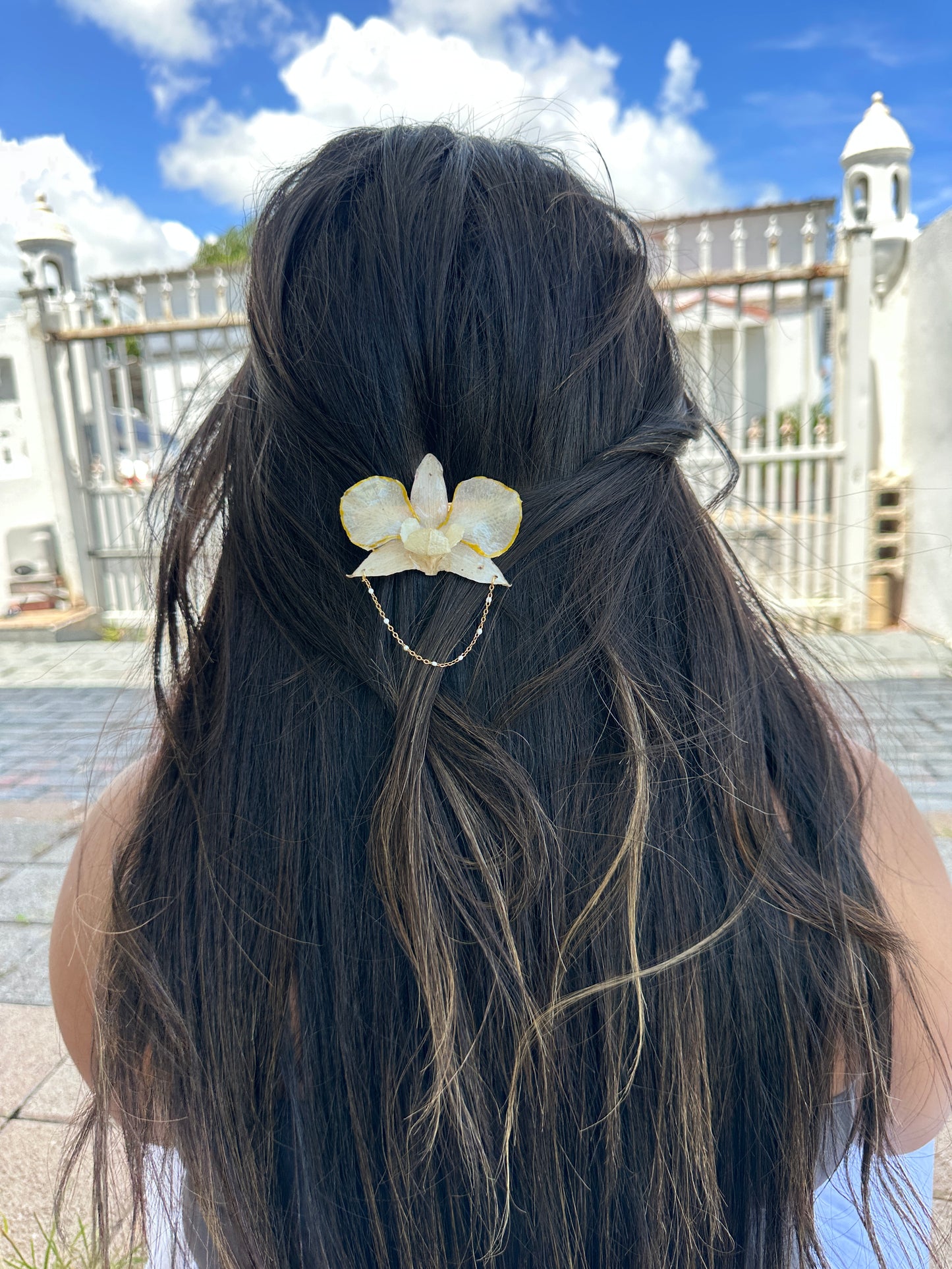 Dendrobium line Hair clip