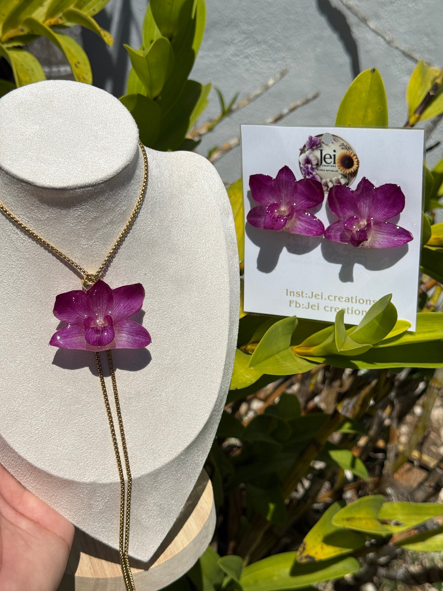 Baby Orchid set
