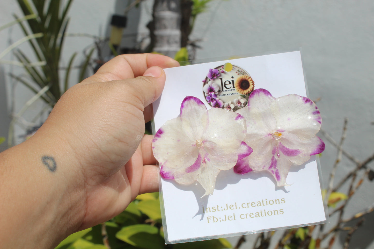 Phalaenopsis Orchid set (4pieces)
