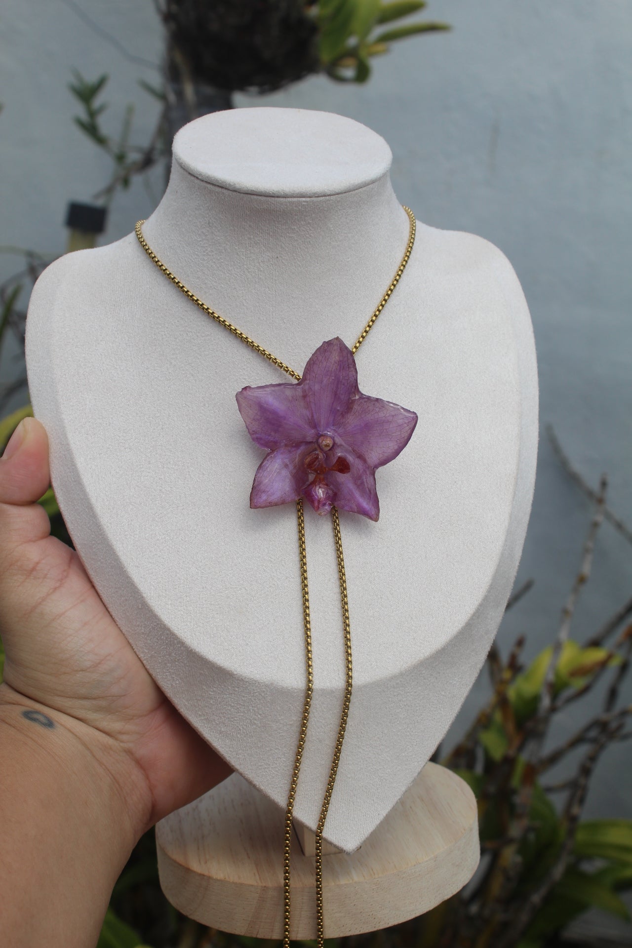 Purple Phalaenopsis Orchid set