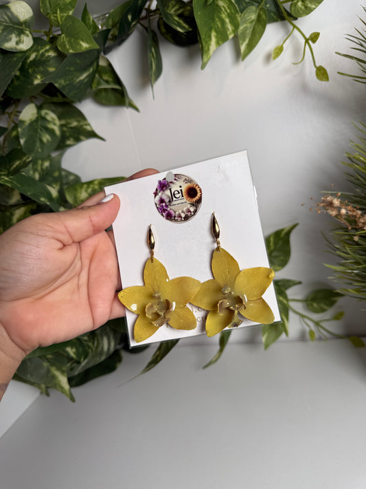 Yellow Orchid earings