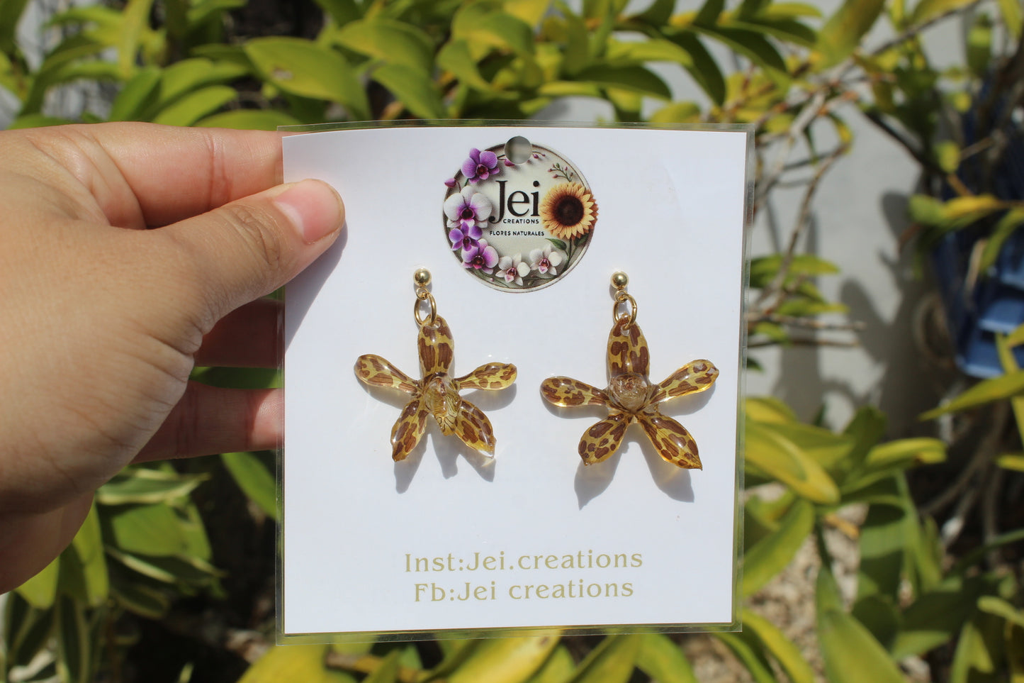 Baby Grammatophyllum earings