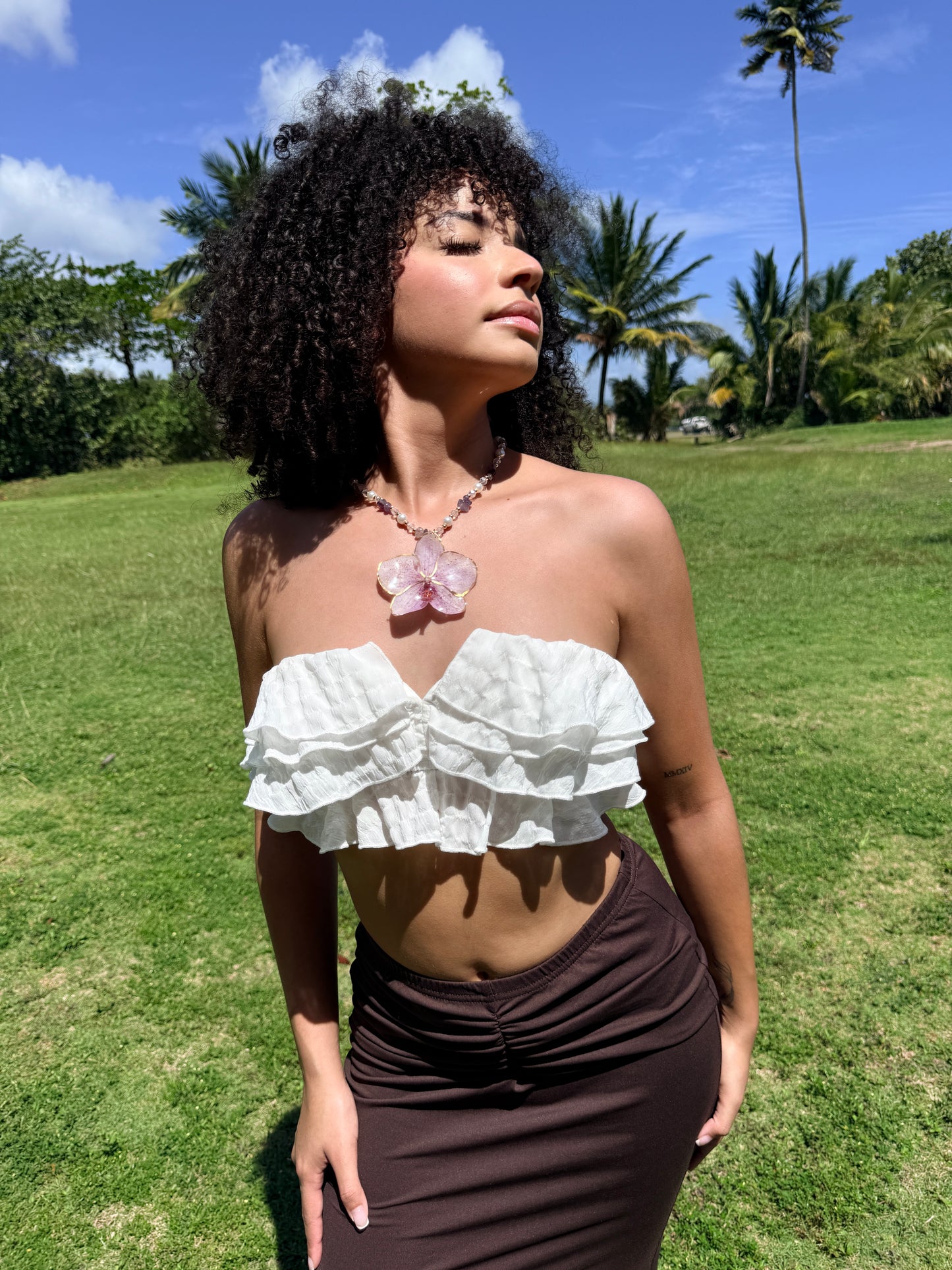 Phalaenopsis fairy purple necklace