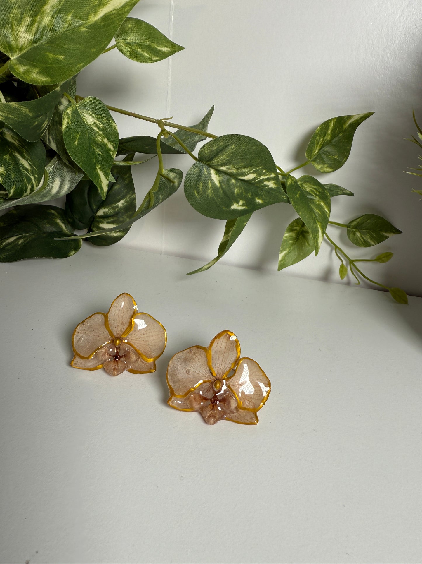 Phalaenopsis Orchid ring