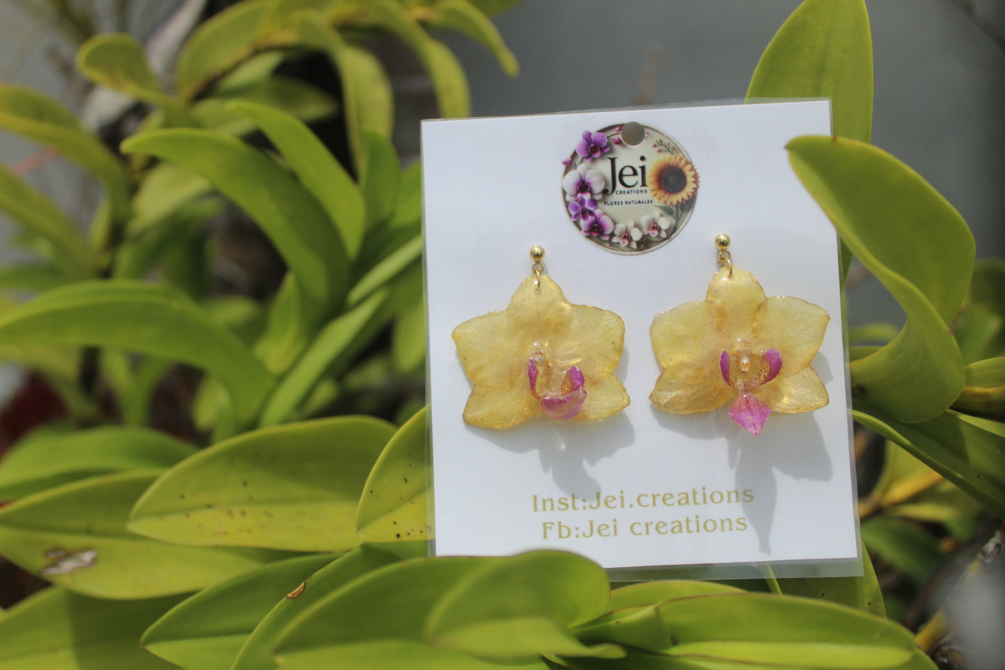 Baby yellow orchid earings