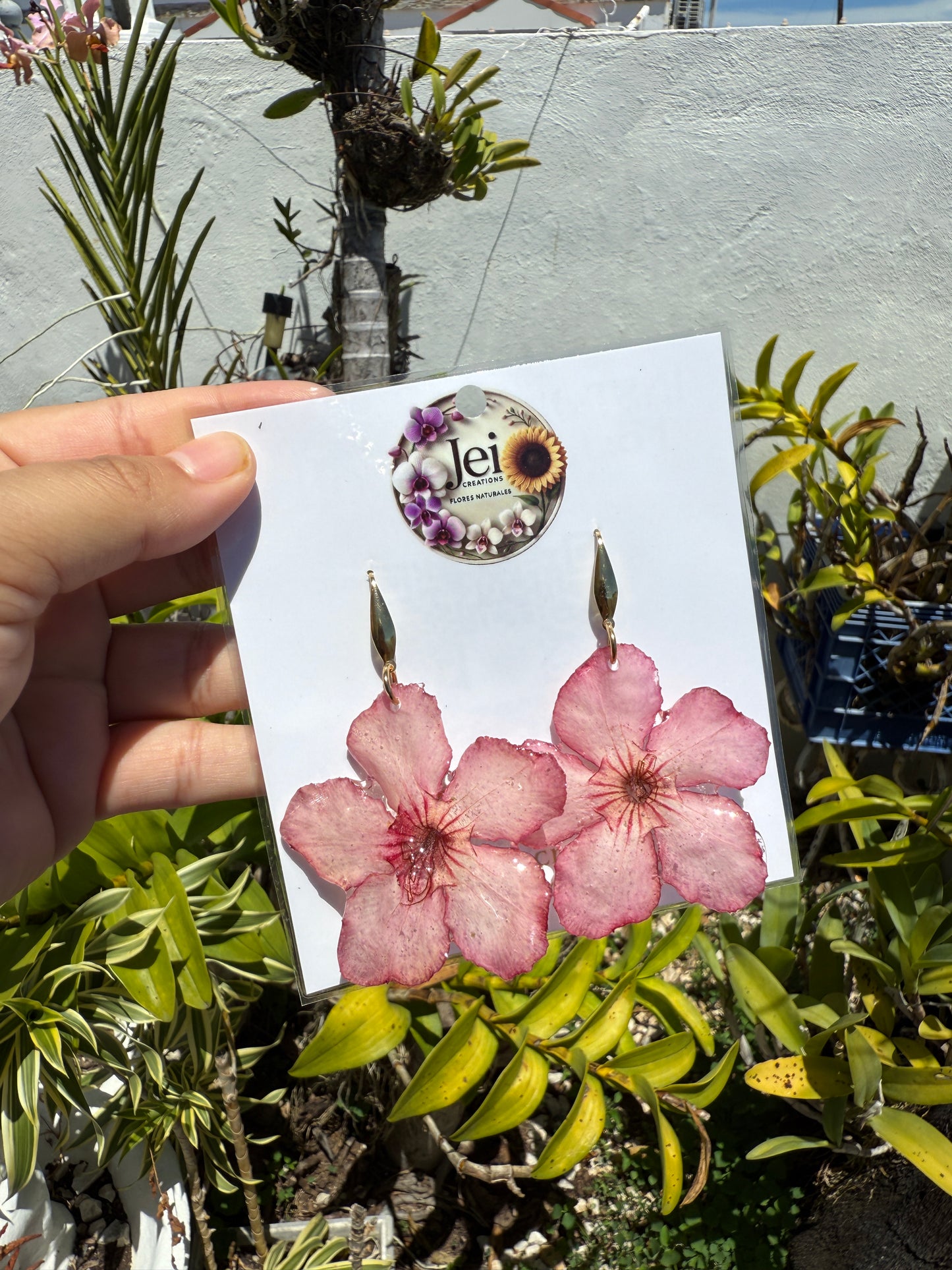 Pink Desert rose earings