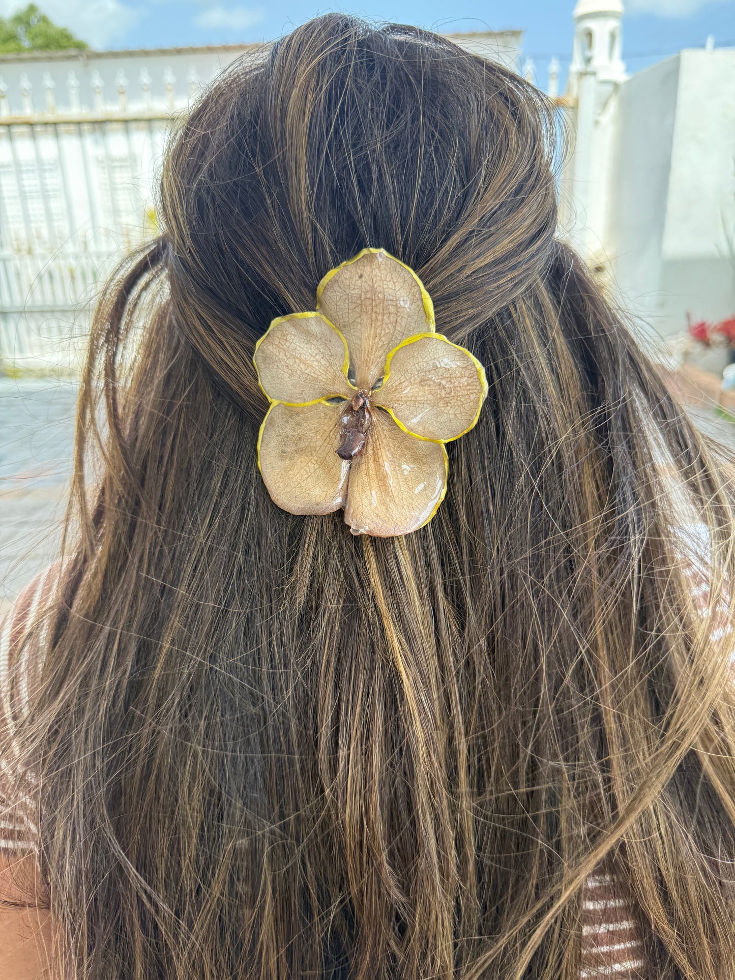 Big Orchid Vanda Hair clip