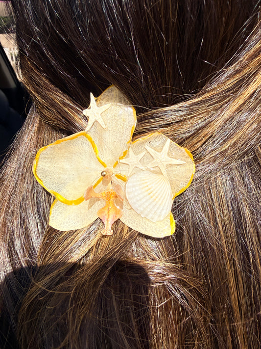 Phalaenopsis hair clip