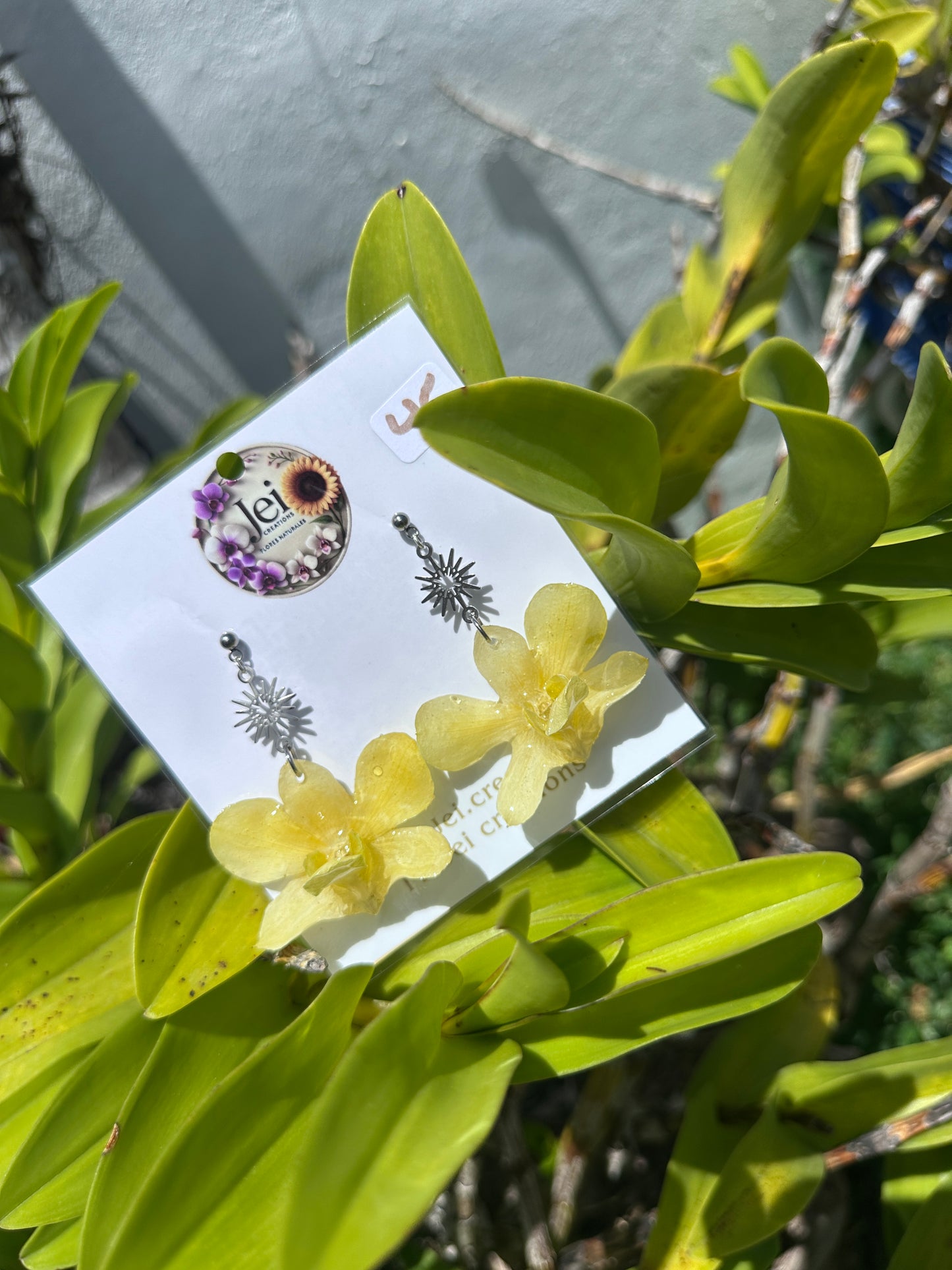 Yellow de Dendrobium earings
