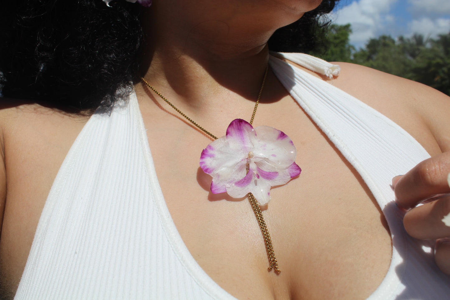 Phalaenopsis Orchid set (4pieces)