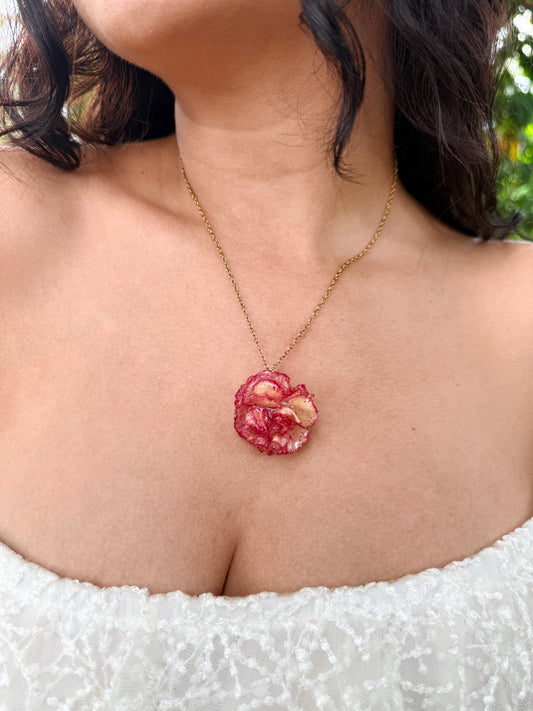 Crimson Carnation Set(clavel mini )