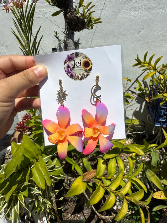 Colorfull Orchid Set