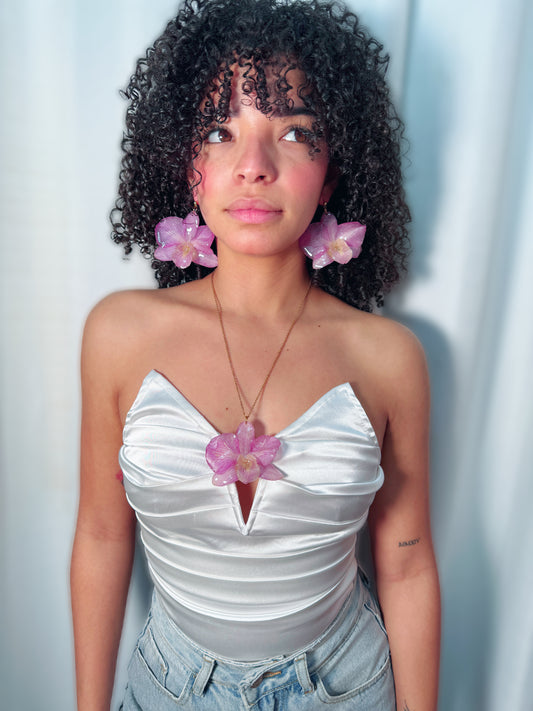 Big Dendrobium Orchid set