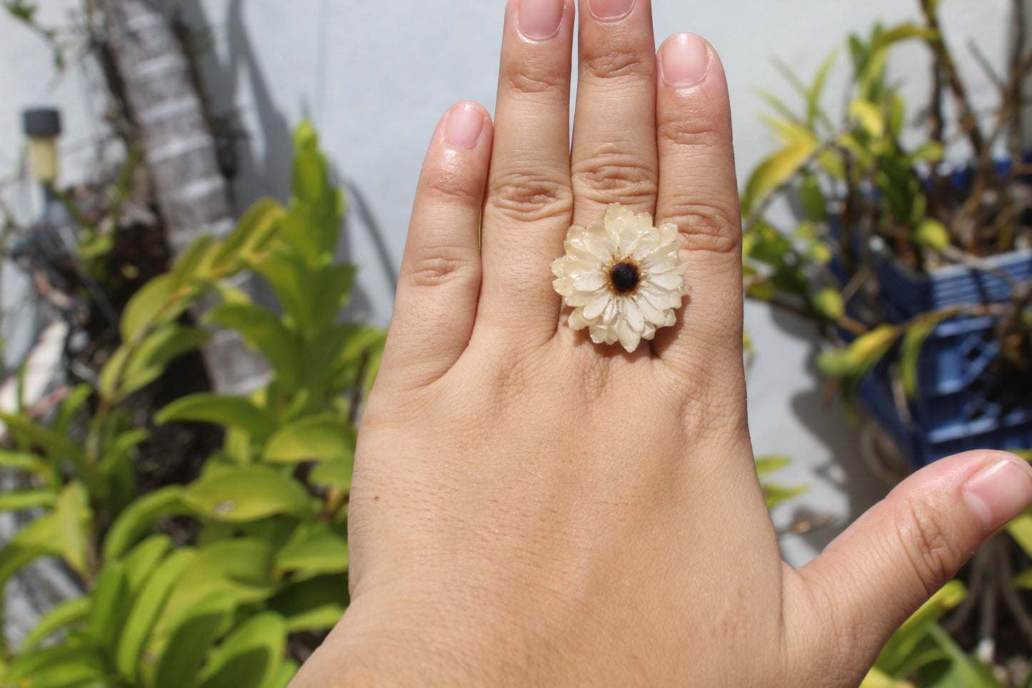 Margarita ring