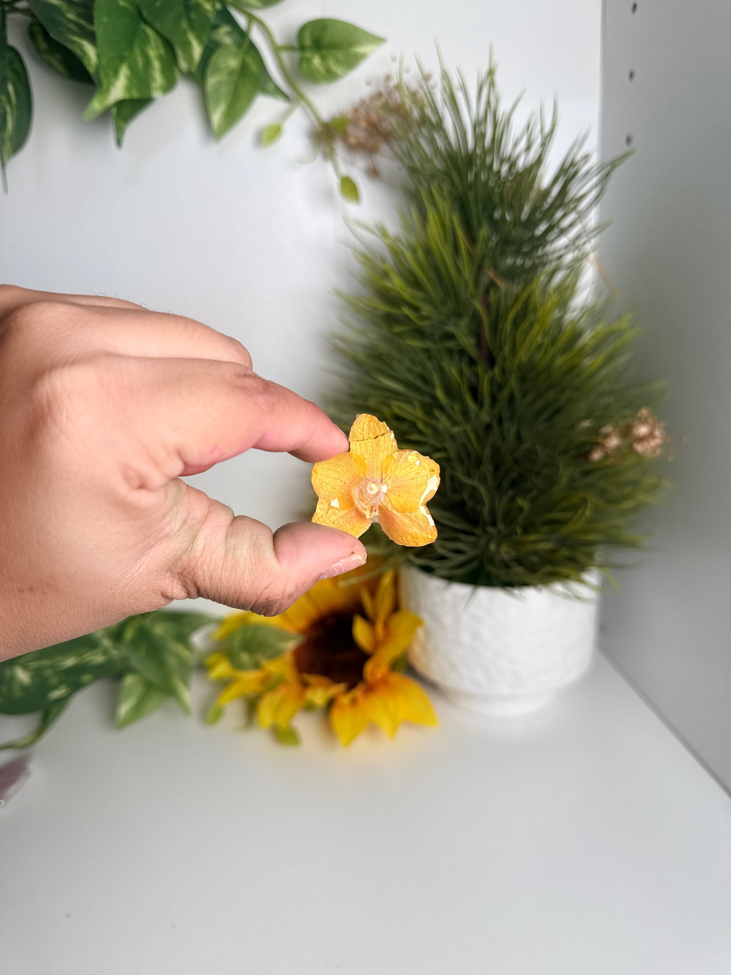 Prendedores(Orchid pins)