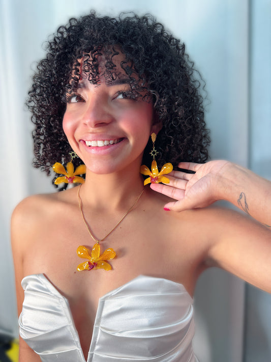 Fairy Dendrobium set