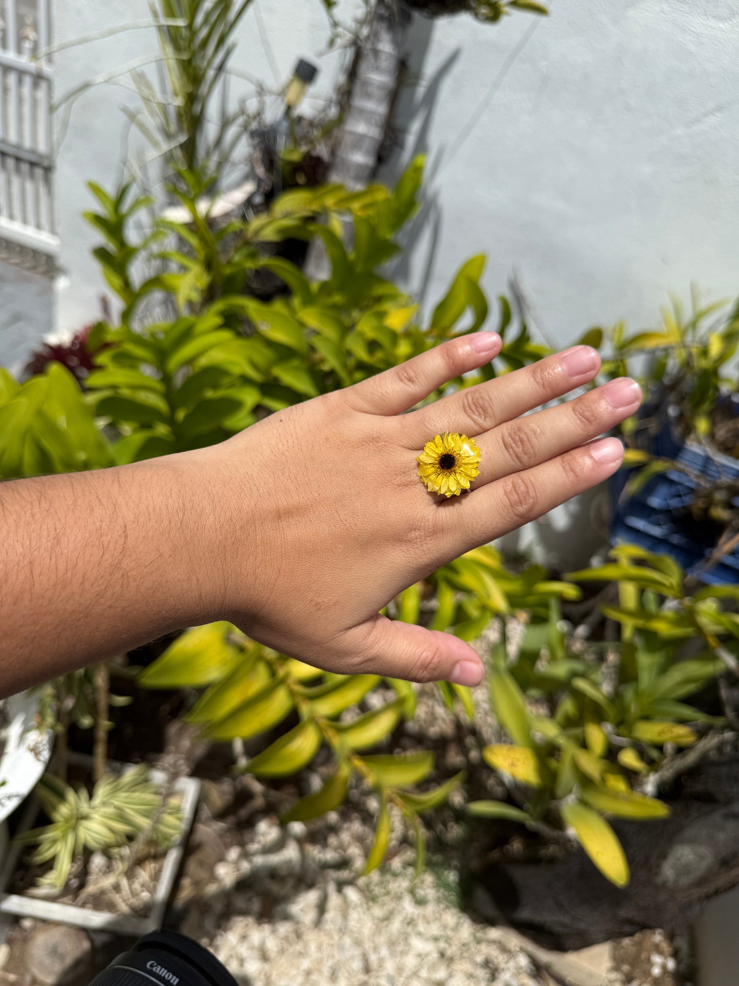 Sunflower ring