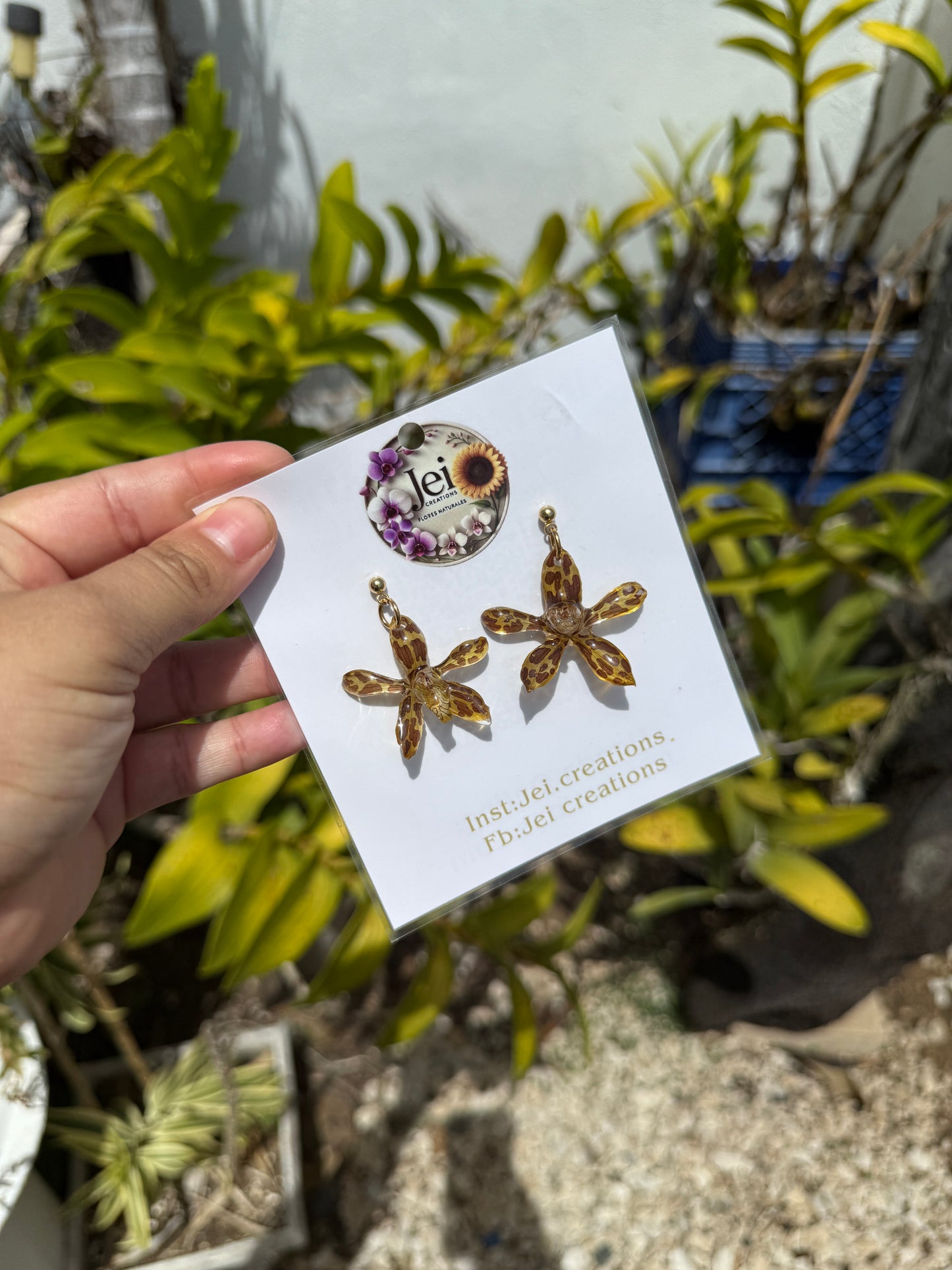 Baby Grammatophyllum earings