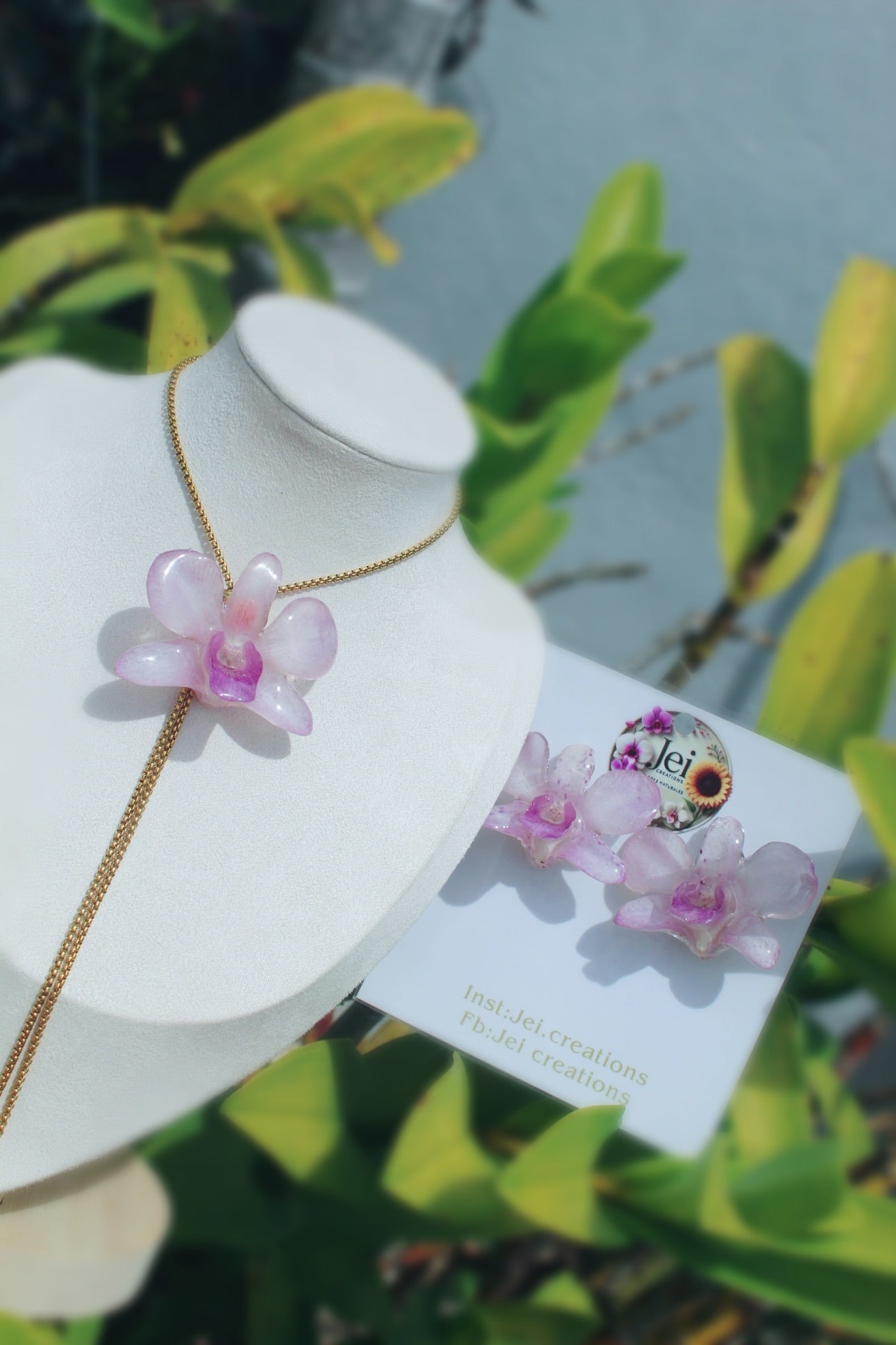 Baby purple Dendrobium set