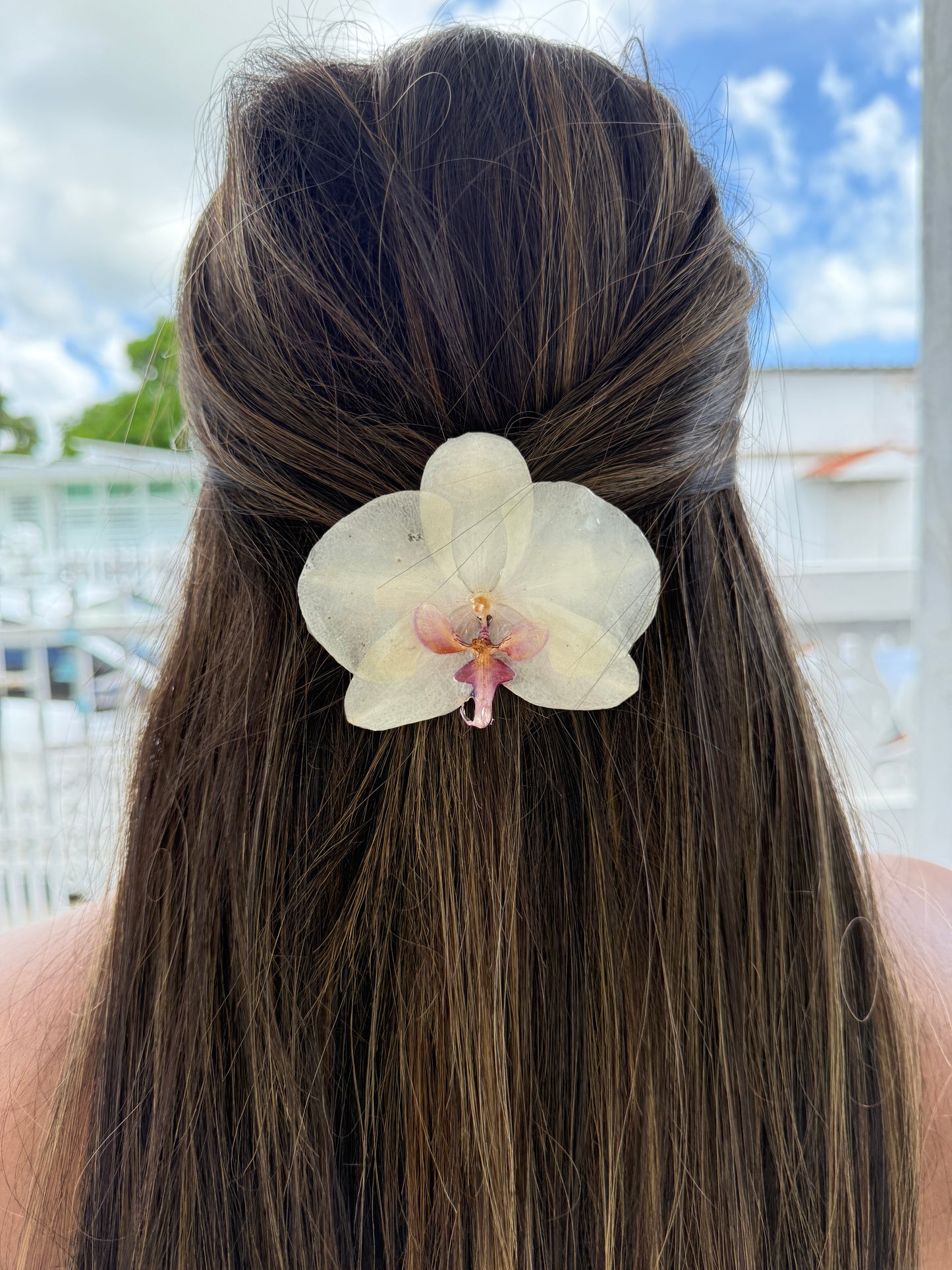 White Phalaenopsis Orchid Hair clip