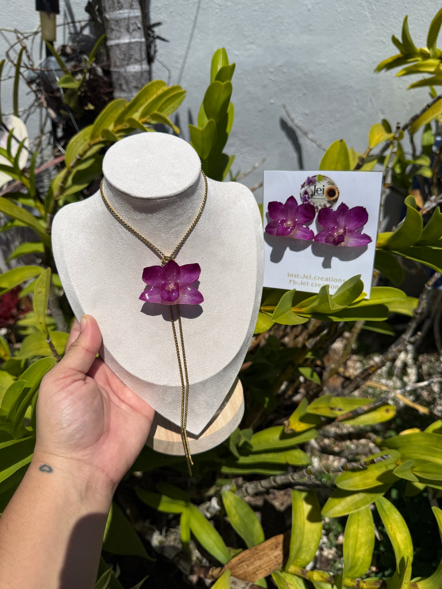Baby Orchid set