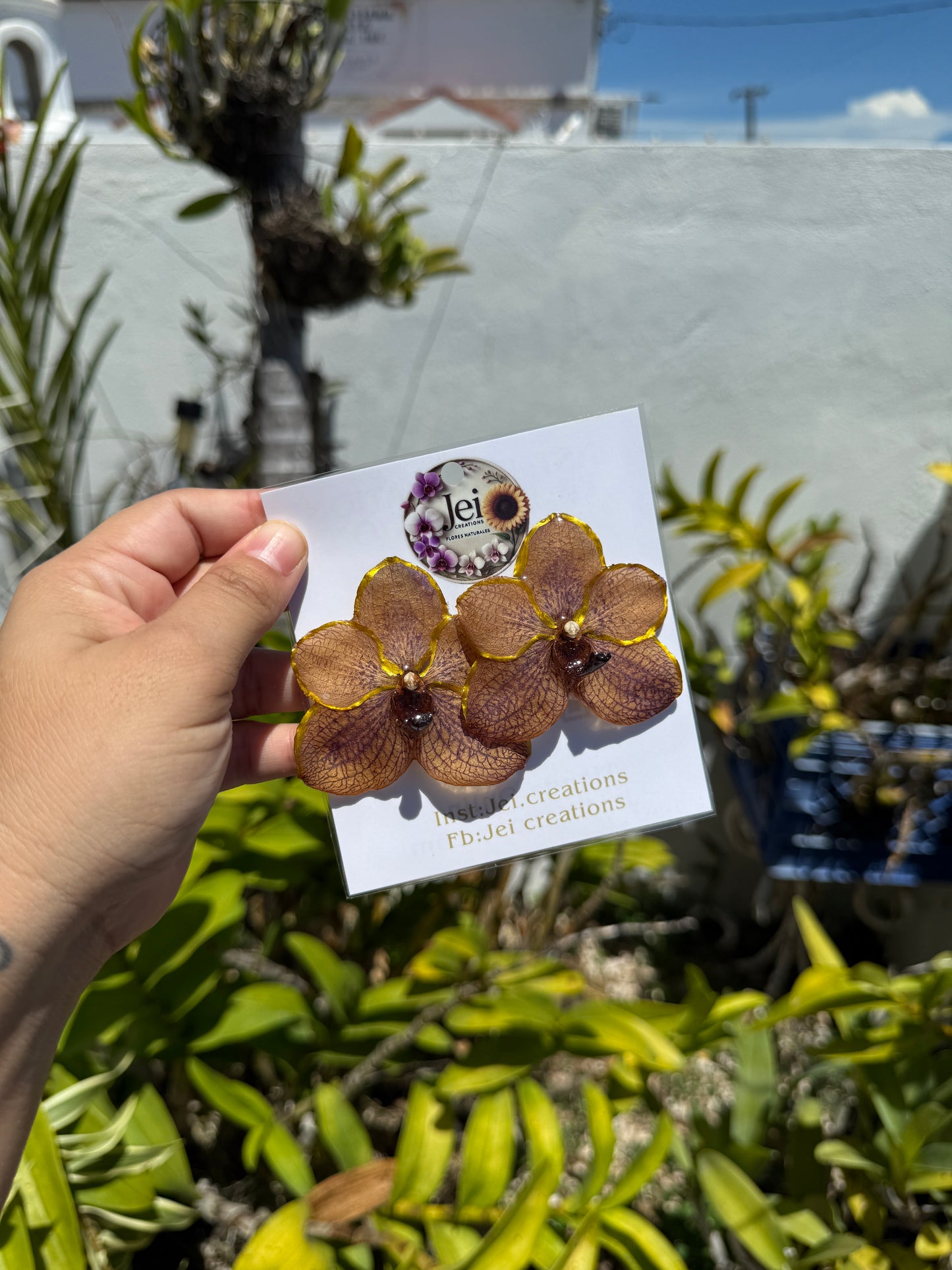 Orchid Vanda Stud