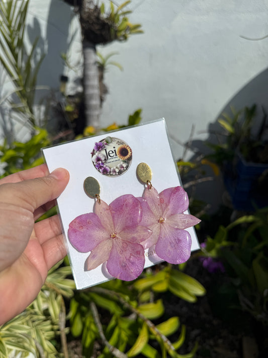 Phalaenopsis Orchid earings