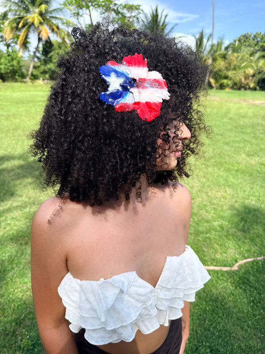 Amapola PR hair clip