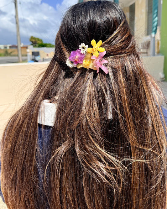 Pinche Jardín Encantado