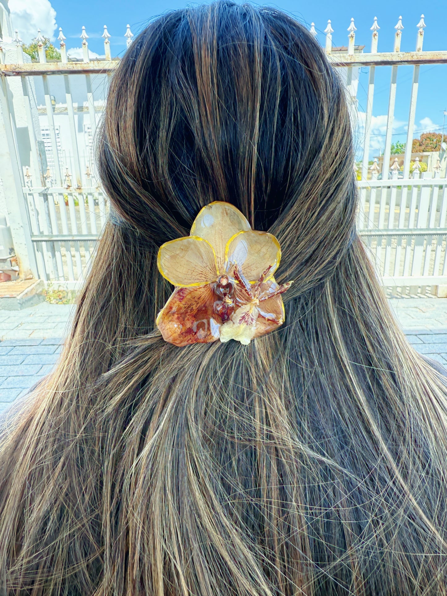 Brown Orchid Hair clip