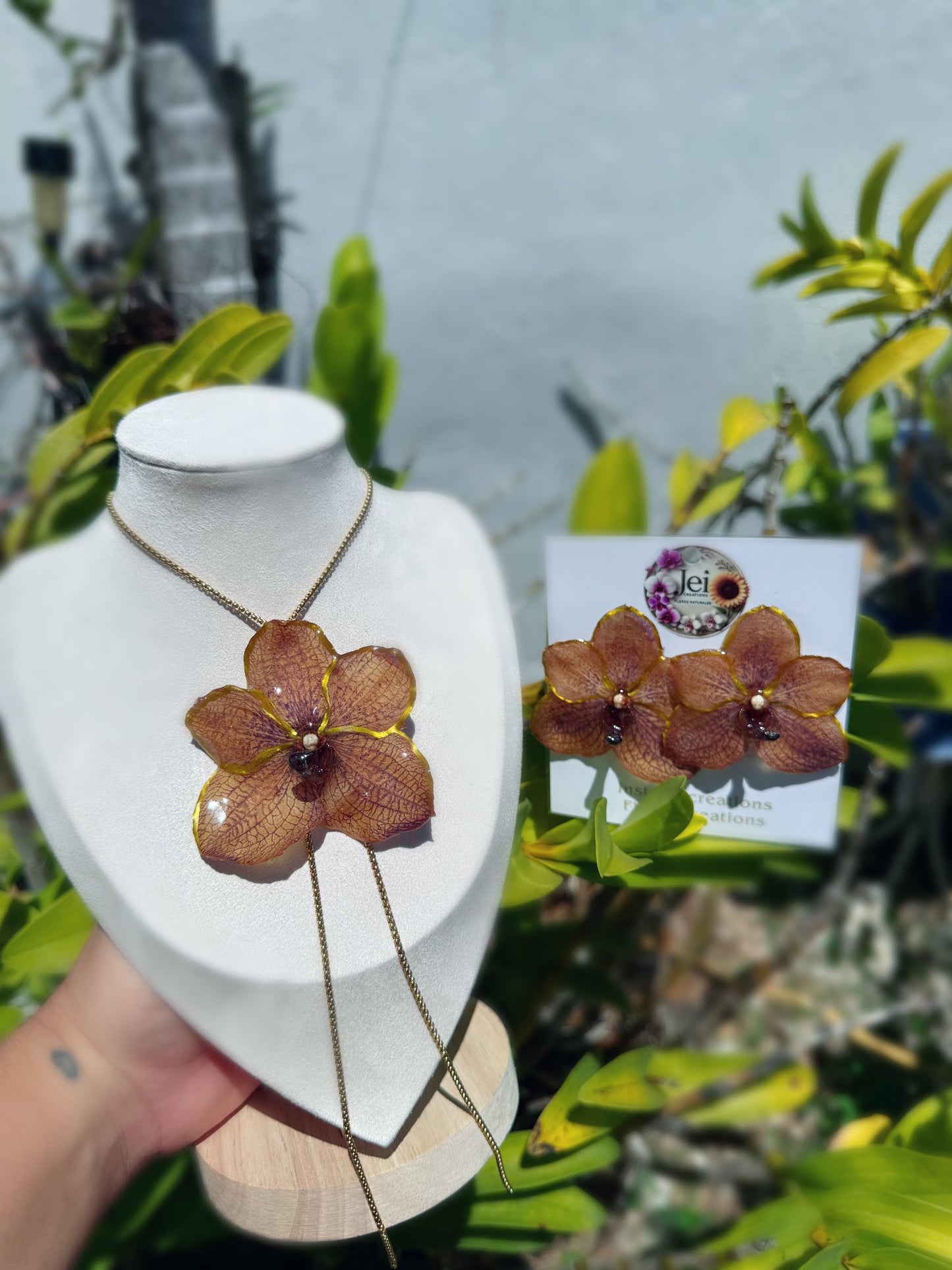 Big Orchid Vanda set