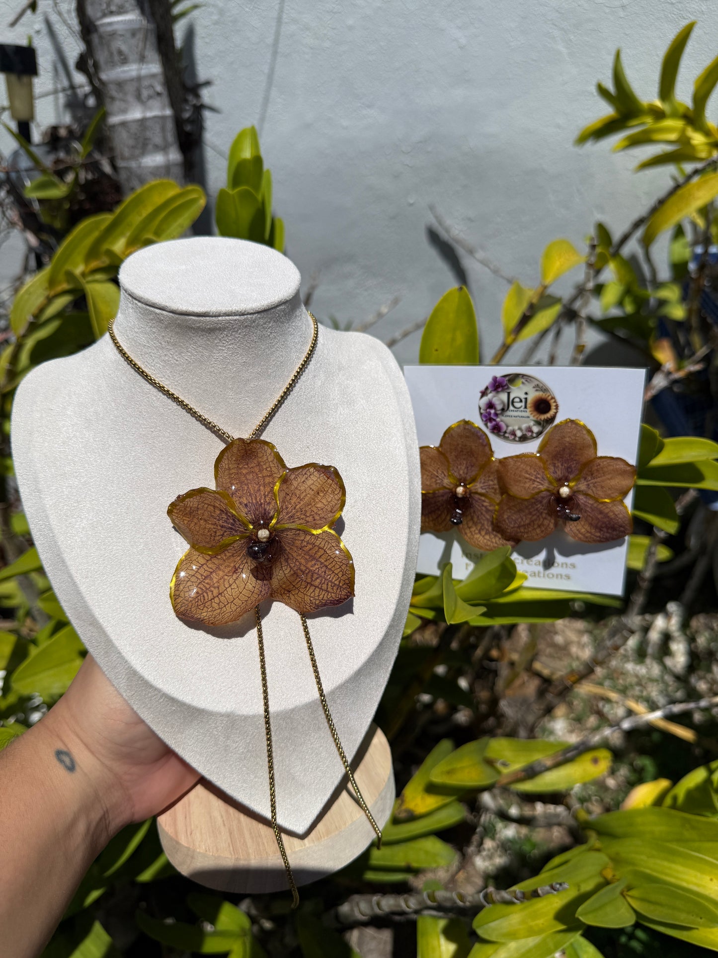 Big Orchid Vanda set