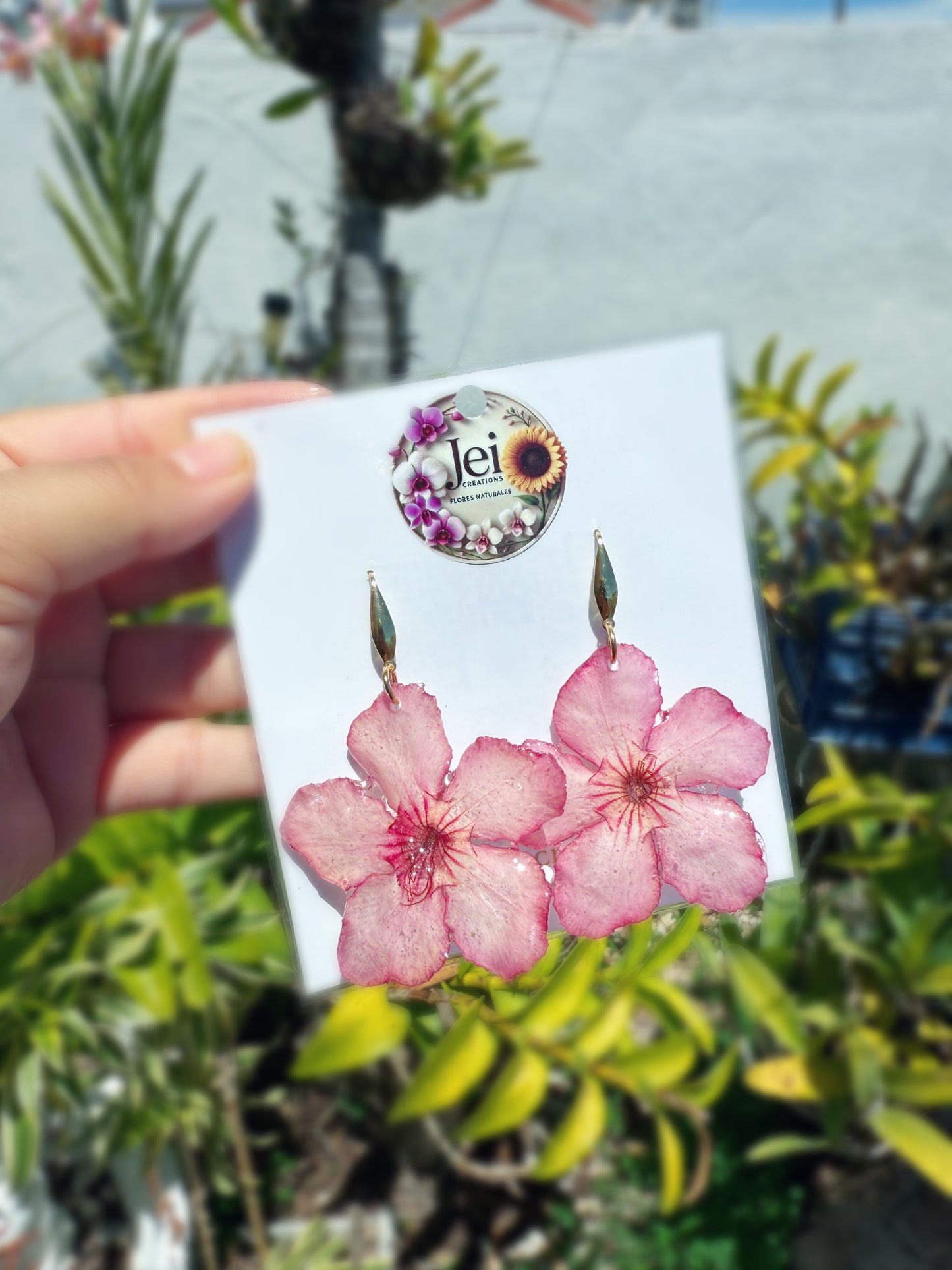 Pink Desert rose earings