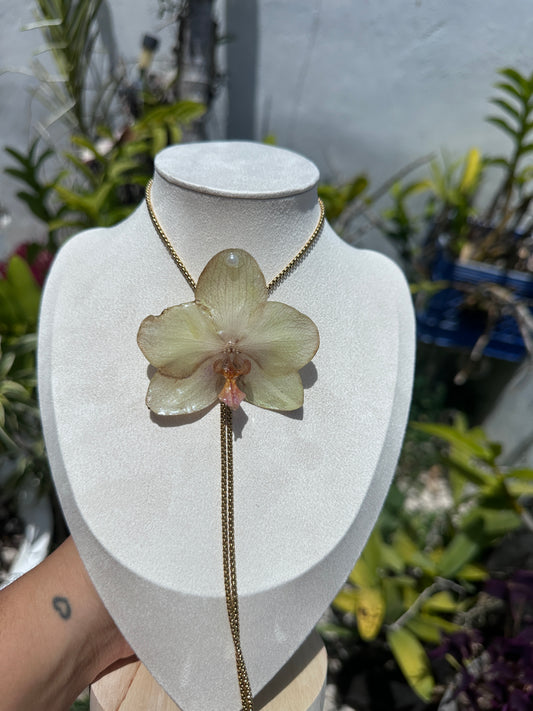 Phalaenopsis Orchid necklace