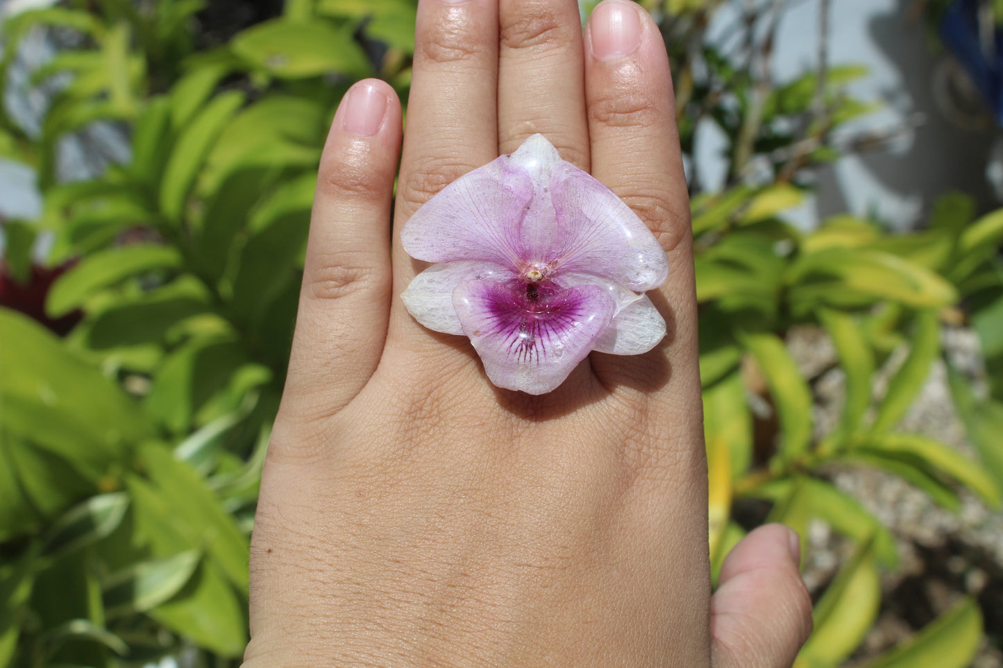 Dendrobium Orchid ring