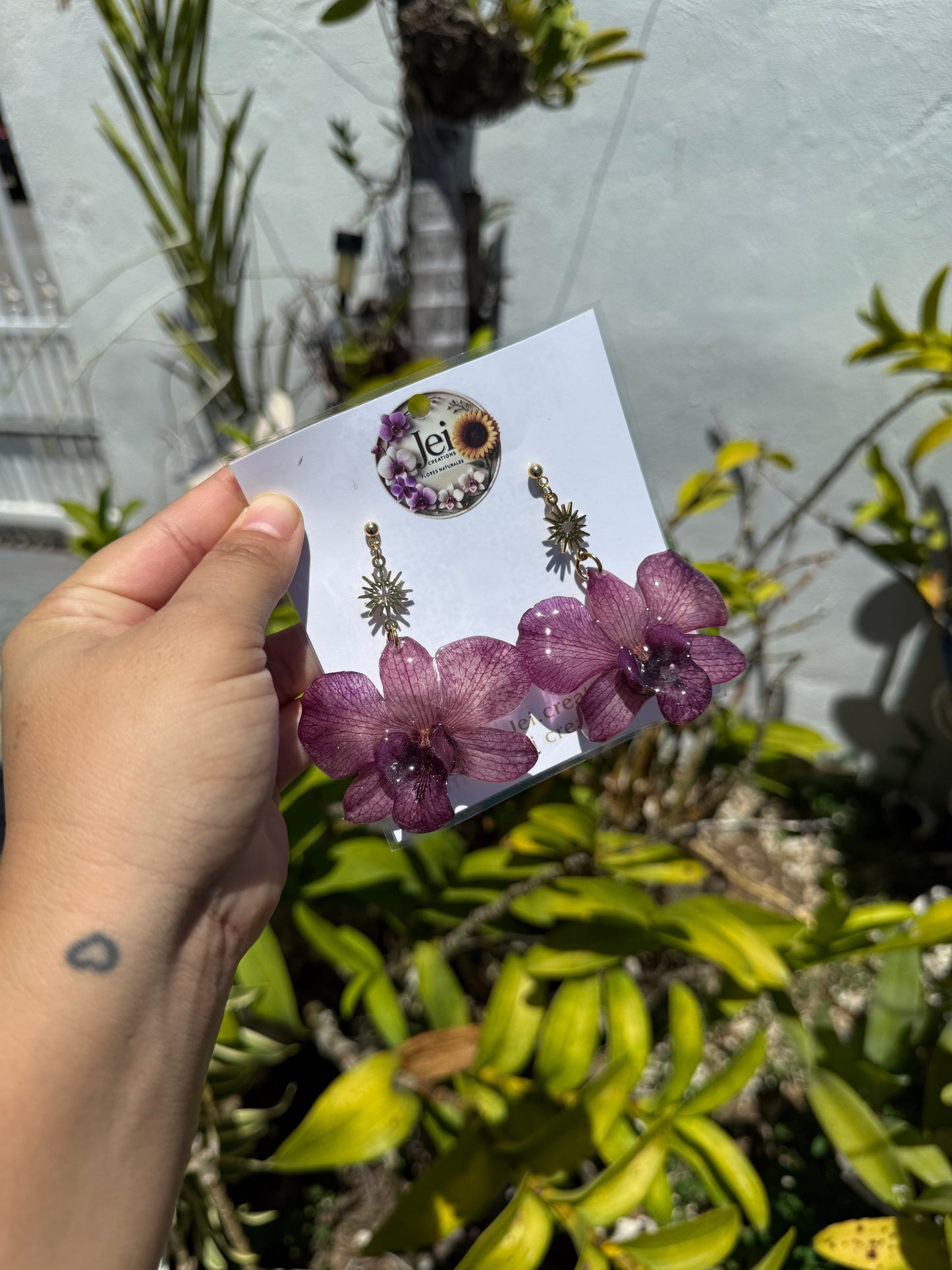 Purple Dendrobium set