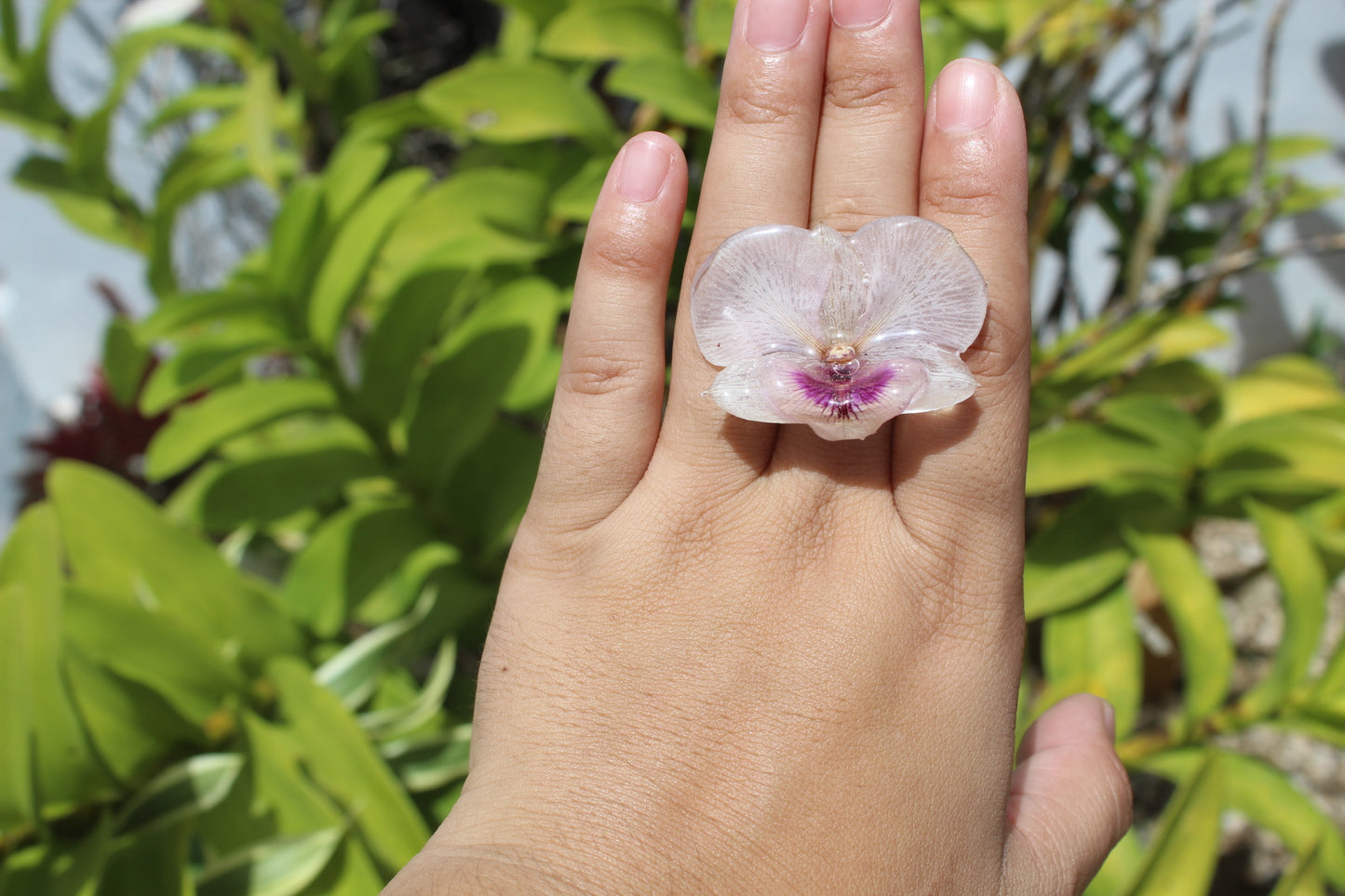 Dendrobium Orchid ring