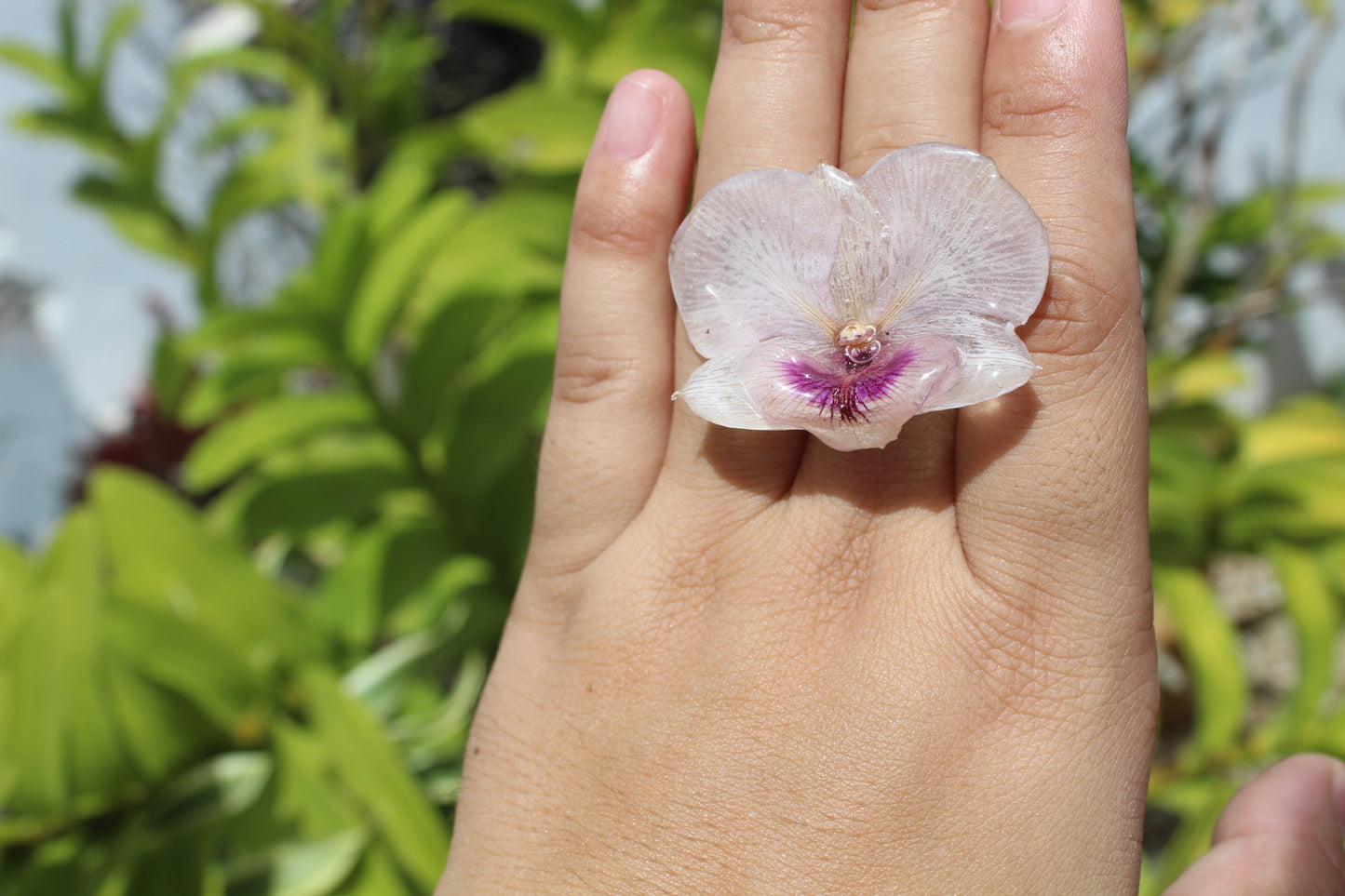 Dendrobium Orchid ring