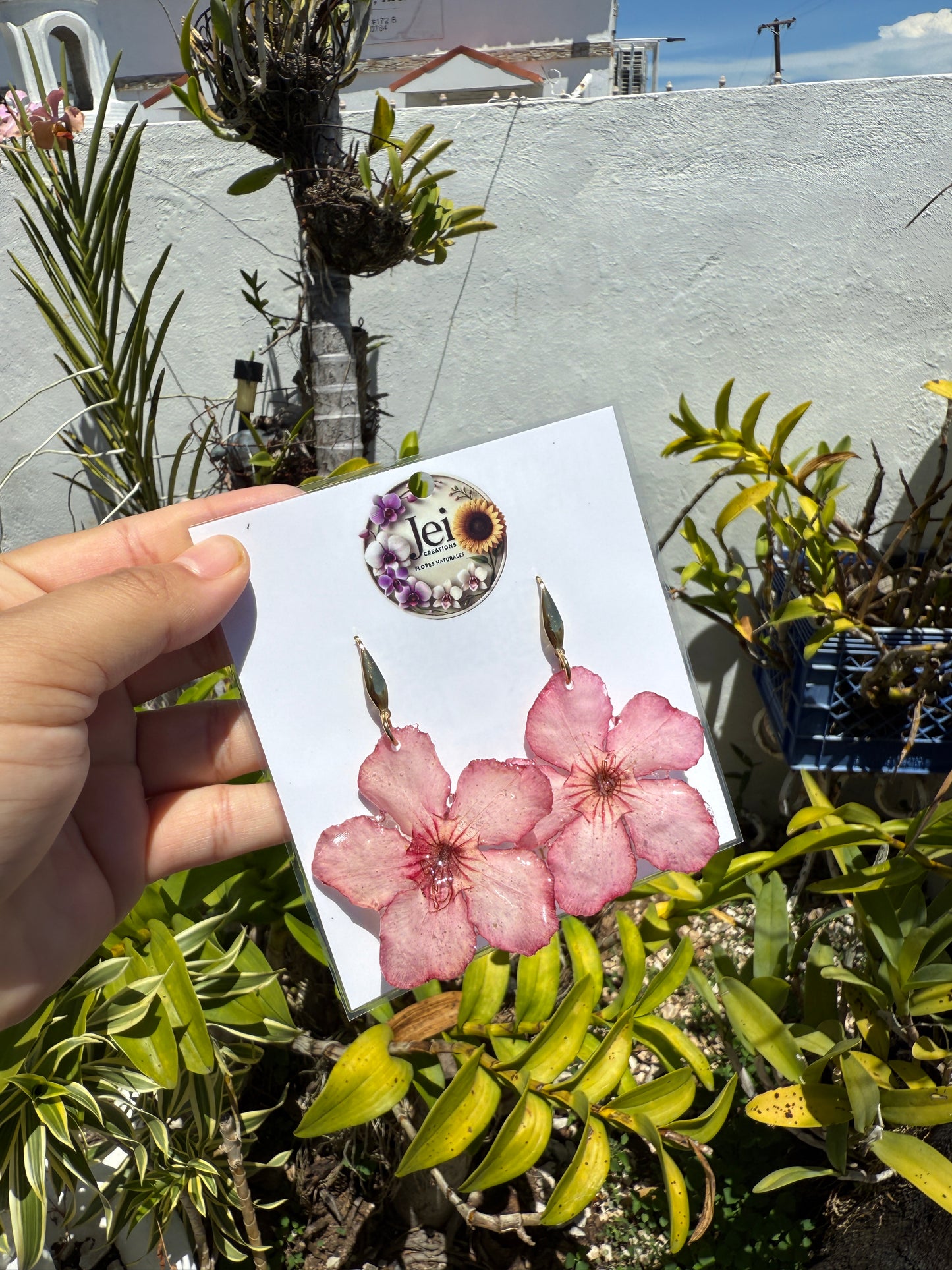 Pink Desert rose earings