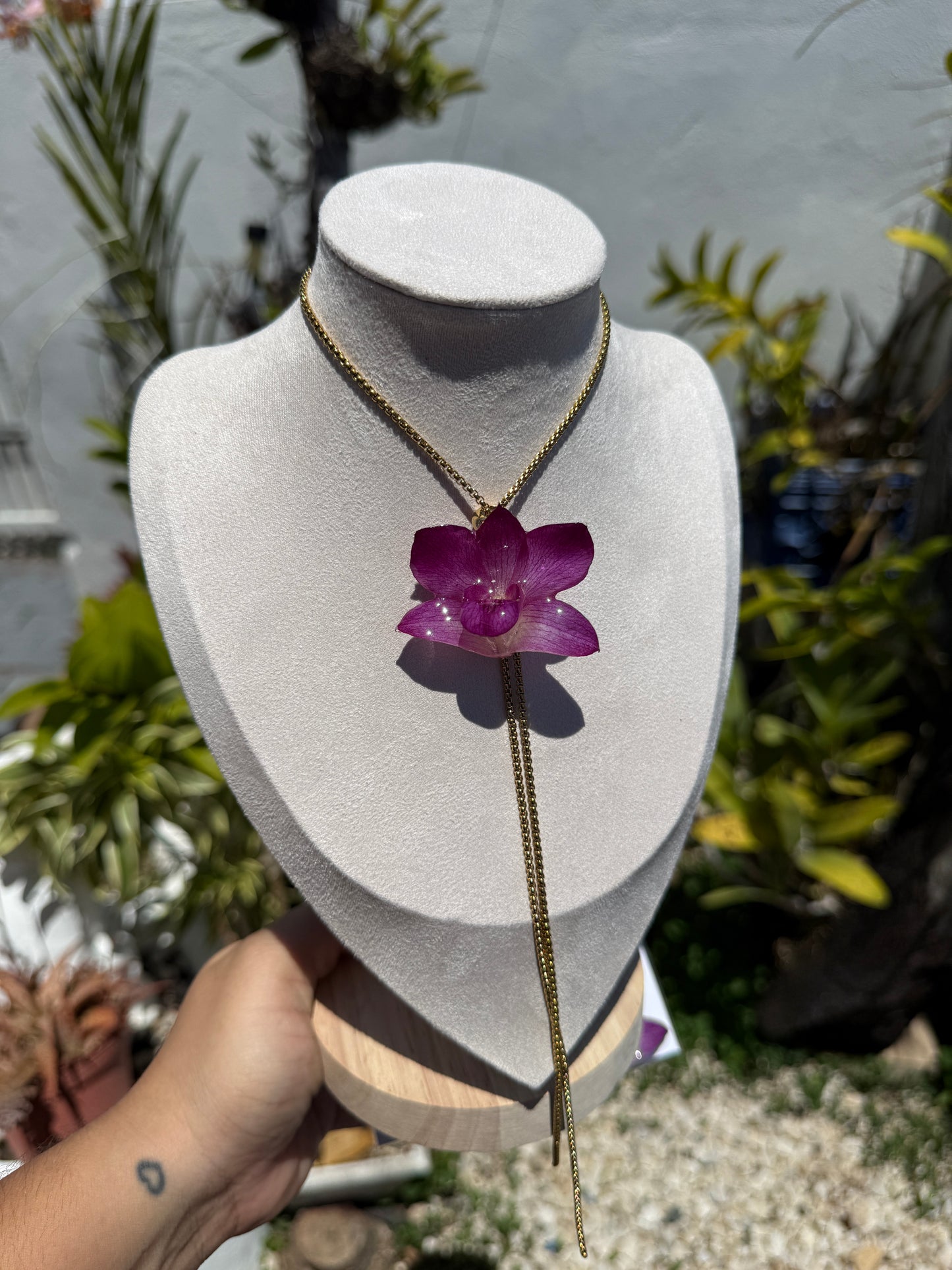Baby Orchid set