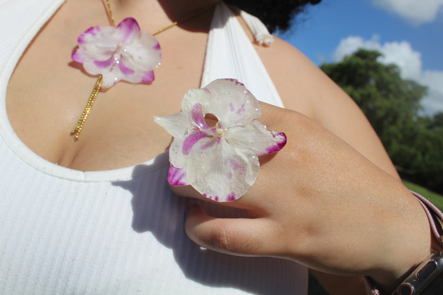 Phalaenopsis Orchid set (4pieces)